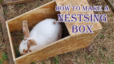 The Ultimate Guide to Rabbit Nest Boxes: A Haven for Your Hoppy Friends