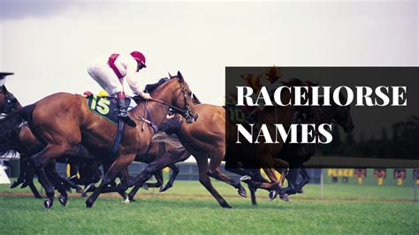 The Ultimate Guide to Racehorse Names: A Galloping Journey to Success