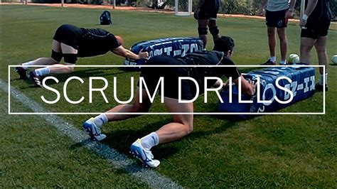 The Ultimate Guide to Scrumhalf Mastery in Rugby