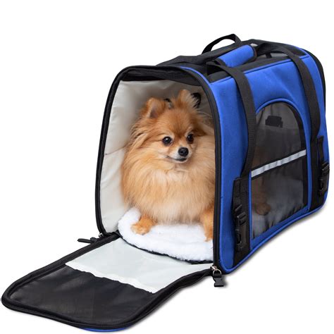 The Ultimate Guide to Selecting and Using a Pet Travel Carrier