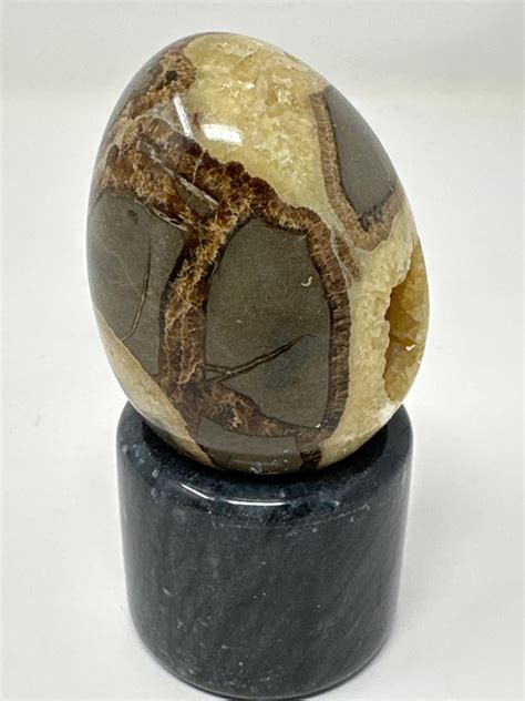 The Ultimate Guide to Septarian Eggs: 2025 VS Meteorites