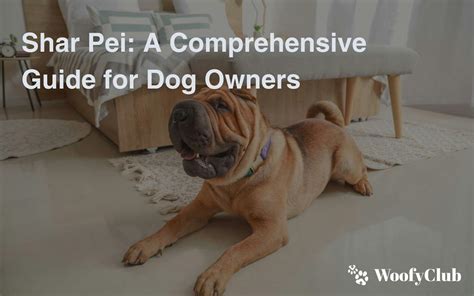 The Ultimate Guide to Shar Pei Puppies: A Comprehensive Resource for Dog Owners