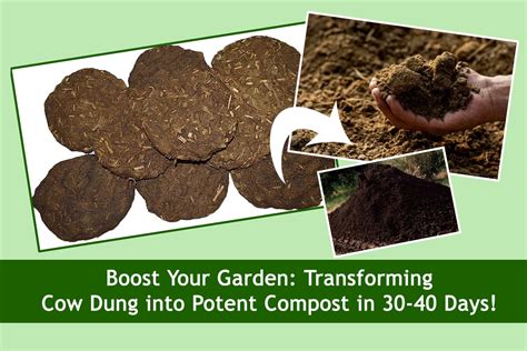 The Ultimate Guide to Sheep Dung Compost Machines: Transforming 2025 Farming by 2025