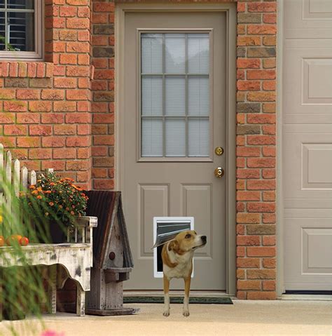 The Ultimate Guide to Small Doggie Doors for Happy Pets and Convenient Homes