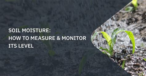 The Ultimate Guide to Soil Moisture Management: WetWet