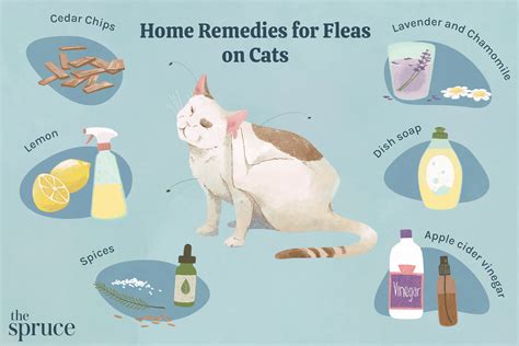 The Ultimate Guide to Spotting and Tackling Fleas on Cats: Symptoms, Prevention, and Treatment