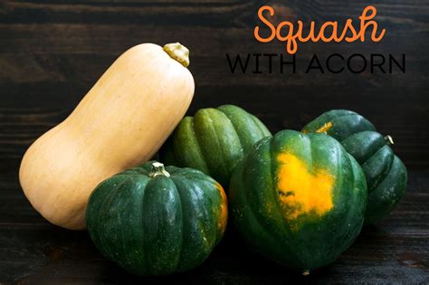 The Ultimate Guide to Squash Fertilizer: 10 Powerhouse Options