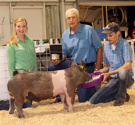 The Ultimate Guide to Success with Coulson Showpigs