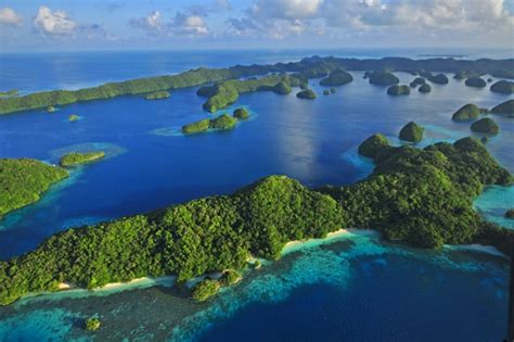 The Ultimate Guide to Swimming in Palau: A Paradise for Underwater Explorers