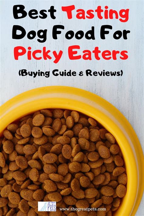 The Ultimate Guide to Taming Fussy Eaters: Dog Food Solutions for Picky Canines