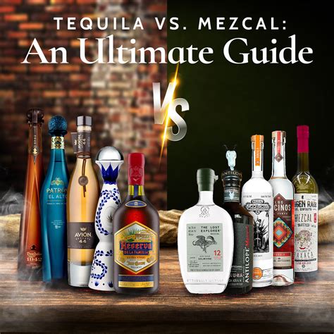 The Ultimate Guide to Tequila and Mezcal: A Spirit-ous Journey