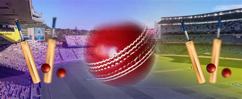 The Ultimate Guide to Thriving in Online Cricket Betting