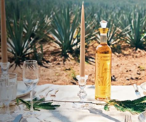 The Ultimate Guide to Titán Tequila: Crafting an Authentic Mexican Spirit