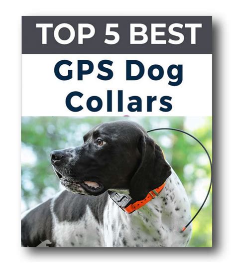 The Ultimate Guide to Tracking Collars for Dogs: Your Top 10 Picks