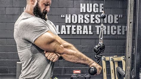 The Ultimate Guide to Triceps Workouts: Build Massive Horseshoe-Shaped Arms