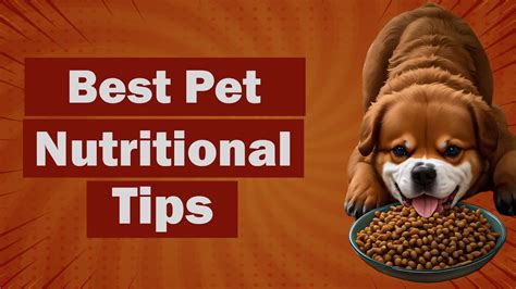 The Ultimate Guide to True Dog Food: Unlocking the Secrets of Optimal Pet Nutrition