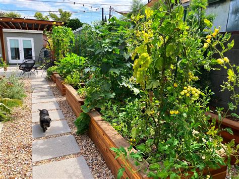 The Ultimate Guide to Turning Your Wasteland Garden into a Thriving Oasis