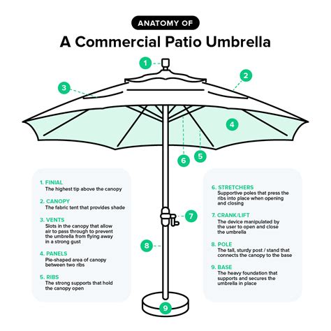 The Ultimate Guide to Umbrella Shopping in Singapore: A Comprehensive Buying Journey