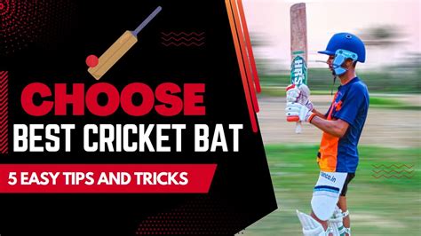 The Ultimate Guide to Understanding, Choosing, and Mastering the Cricket Bat