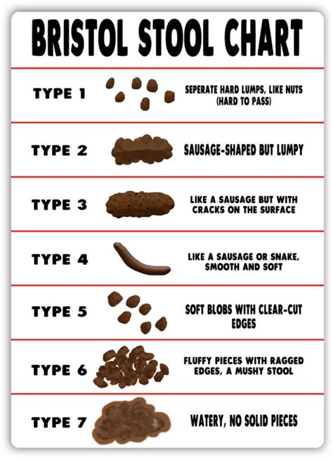 The Ultimate Guide to Understanding and Managing Poo Poo Points