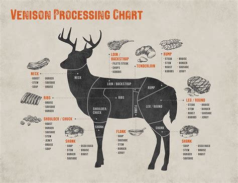 The Ultimate Guide to Venison Cuts: A Hunter's Manual to Maximizing Your Harvest