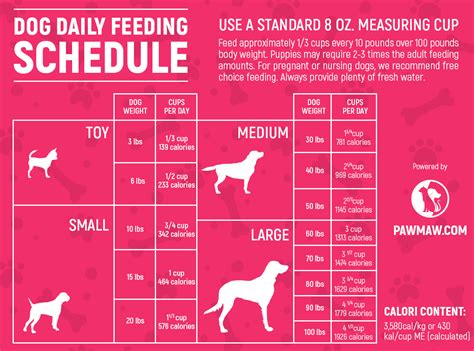 The Ultimate Guide to a Healthy Dog Feeding Schedule