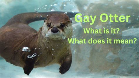 The Ultimate Guide to the Hairy Otter: Navigating Queer Identity Within the Gay Community