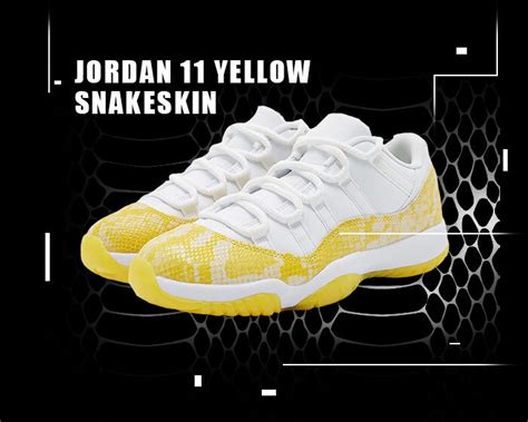 The Ultimate Guide to the Iconic Air Jordan 11 "Snakeskin"