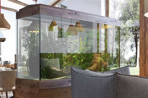 The Ultimate Guide to the Imposing 100-Gallon Fish Tank