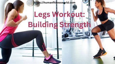 The Ultimate Legs Routine for Beginners: Building Strength and Sculpting Your Lower Body