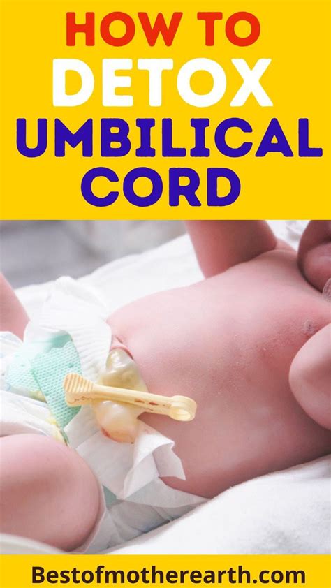 The Umbilical Cord: A Vital Lifeline for Baby and Mother