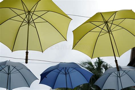 The Umbrella: An Exposition of Protection and Style