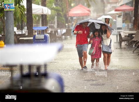 The Umbrella as Shelter: A Refuge from Life's Storms