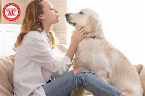 The Unbreakable Bond: Exploring the Enduring Relationship Between Women and Dogs