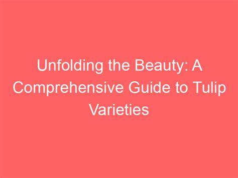 The Unfolding Realm of Cafe Beauty: A Comprehensive Guide