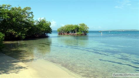 The Unforgettable Tropical Paradise of Gilligan's Island