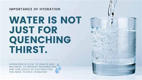 The Unquenchable Thirst for Water: Unraveling the Critical Importance of Hydration