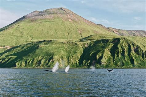 The Untamed Landscape of the Aleutians