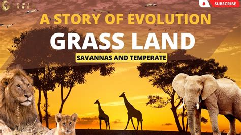 The Untold Story of Grasslands