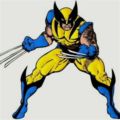 The Unwavering Symbol of Grit: Embracing the Wolverine Classic Costume