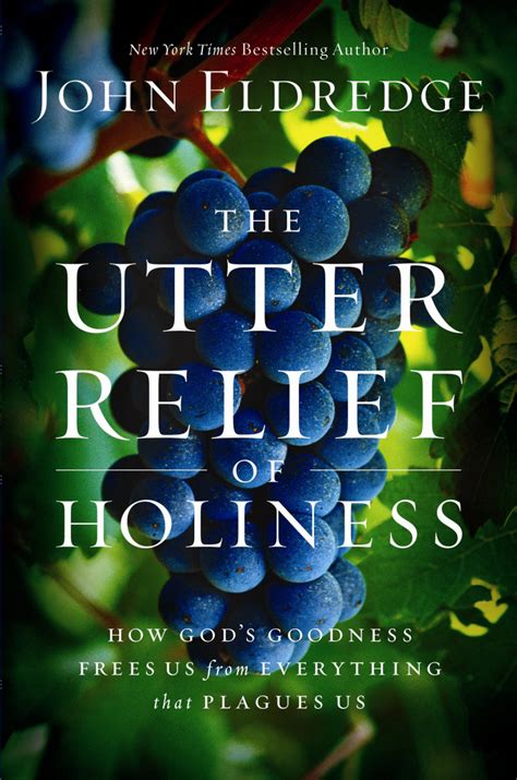 The Utter Relief of Holiness How God s Goodness Frees Us from Everything that Plagues Us PDF