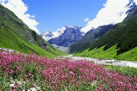 The Valley of Flowers Doc