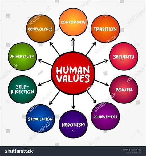 The Values Connection PDF