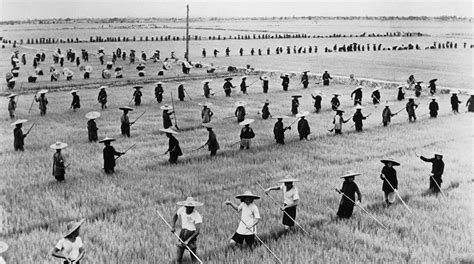 The Vanished Rural Communes: A Historical Retrospective of China's Agricultural Transformation