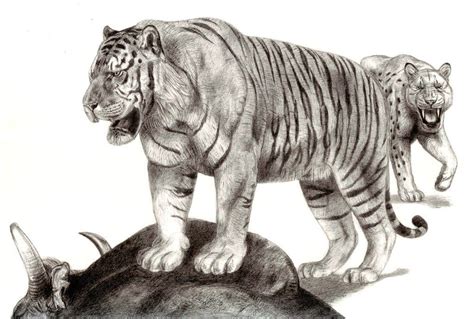 The Vanquished Giants: Extinct Tigers