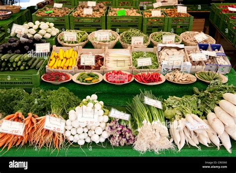 The Vegetable Stand Cooking with Vegetables Doc