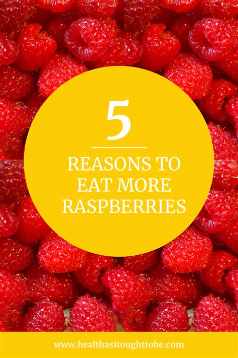 The Versatile Raspberry: A Superfood Powerhouse