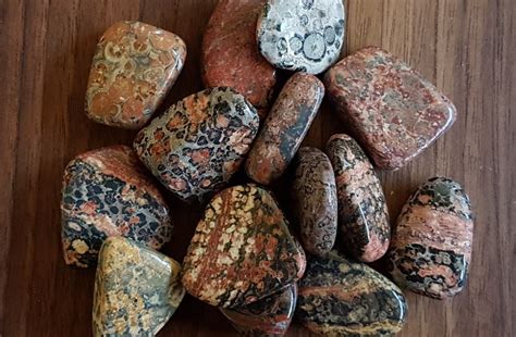 The Vibrant Energy of Leopard Jasper