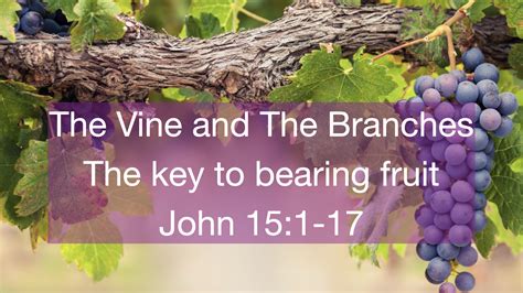 The Vine and the Branches