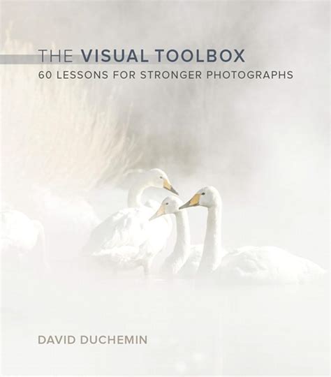 The Visual Toolbox 60 Lessons for Stronger Photographs Voices That Matter PDF